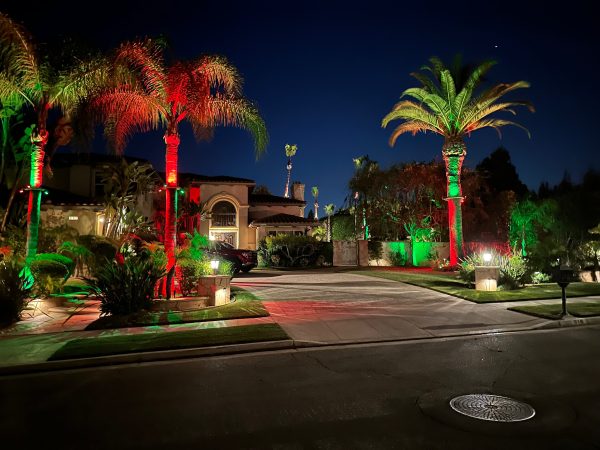 Roto Lighting® Color Changing Palm Tree Ring RGBW 5W - Image 6