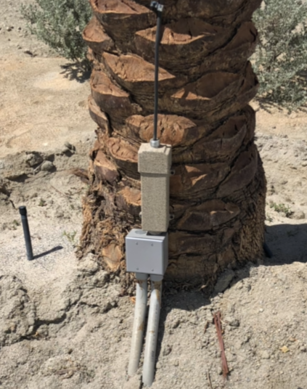 Roto Lighting® Tree Ring Transformer - Image 2